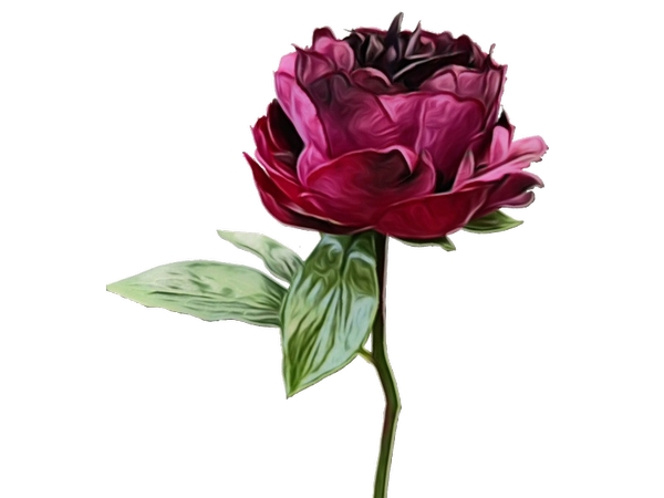 �������õ��廭PNG���ͼ