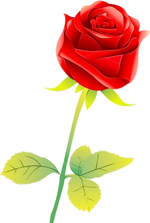 ��Ҷ������õ��廭PNG���ͼ