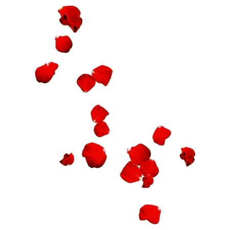 ��ɫɢ��õ�廨��PNG���ͼ