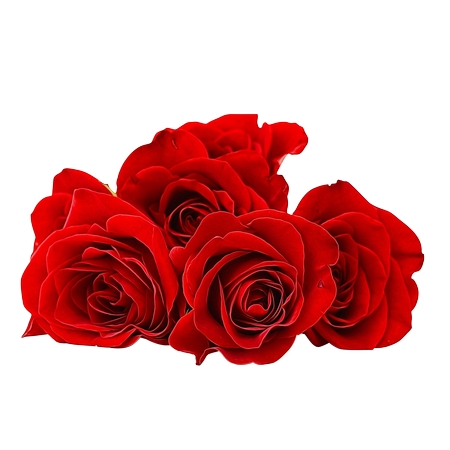 ������õ�廨��PNG���ͼ