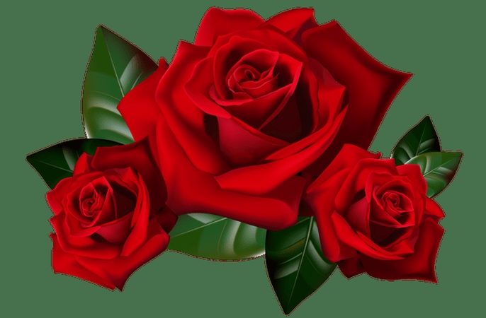 ������õ���PNG���ͼ