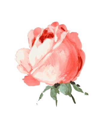 ˮ�ʺ�õ��廭PNG���ͼ