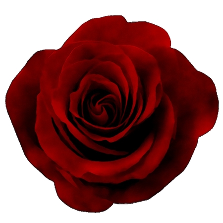 ���������õ��������ƷPNG���ͼ