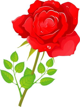 ��Ҷ��õ��廭PNG���ͼ