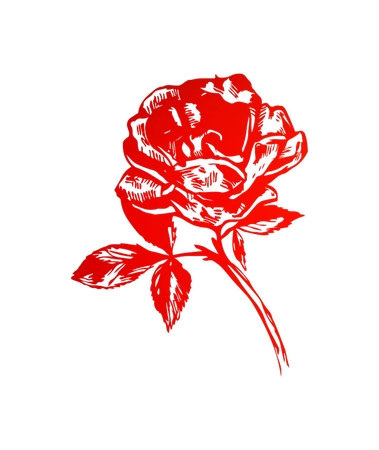 ��õ�廨�ܲ廭PNG���ͼ