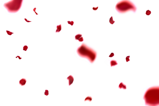 Ʈ���õ�廨��廭PNG���ͼ