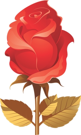 ���˽ں�õ��廭PNG���ͼ