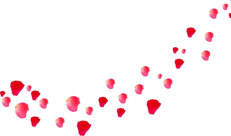 ��õ�廨�����Ԫ��PNG���ͼ