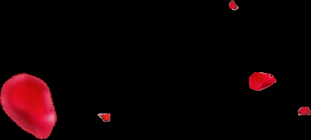 ��������Ʈ���õ�廨��PNG���ͼ