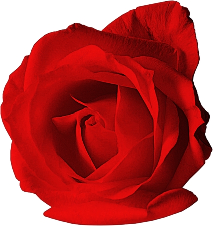 ��ϸ����дʵ��õ��PNG���ͼ