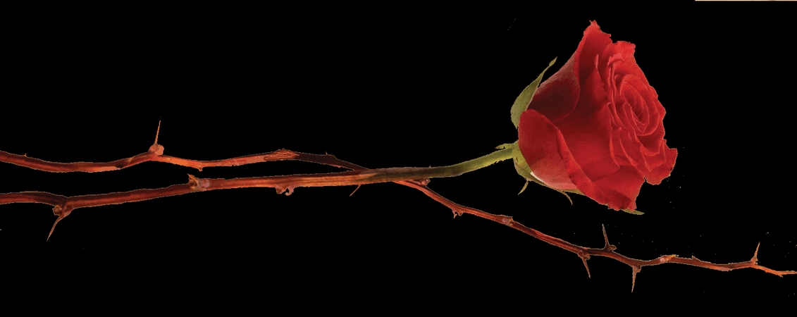 ���Ŵ��̾���õ��廭PNG���ͼ