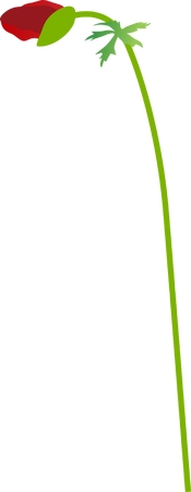 ������õ��PNG���ͼ