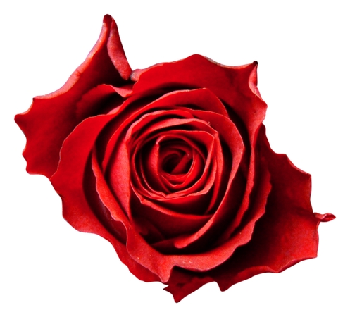 ������õ�廨����дPNG���ͼ