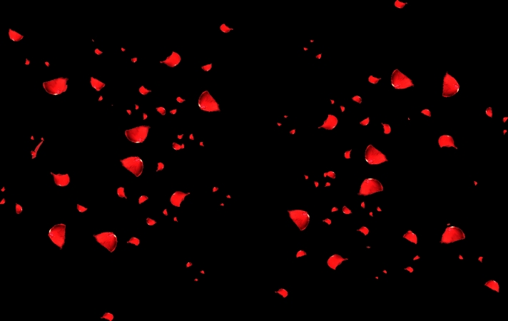 ������õ�廨��װ��PNG���ͼ