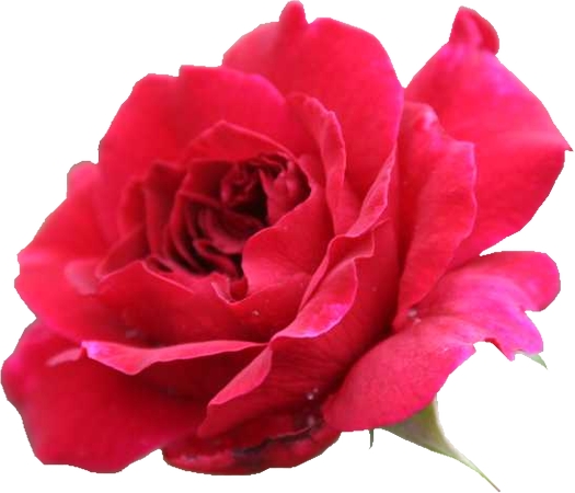 ��õ������PNG���ͼ