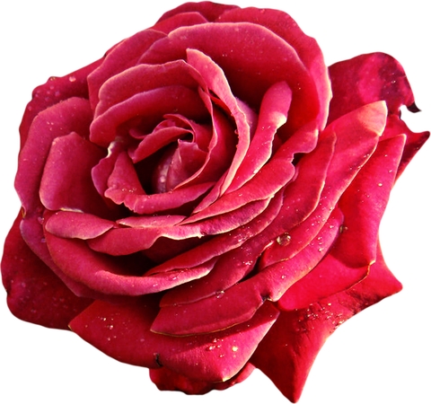 ���õ������PNG���ͼ