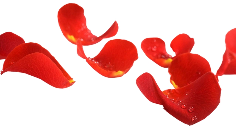 ������õ�廨��PNG���ͼ