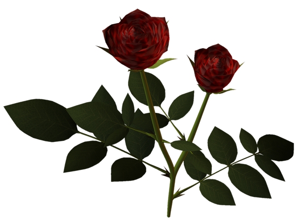 ������õ�廨��PNG���ͼ