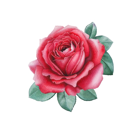 ��Ҷ������õ��廭PNG���ͼ