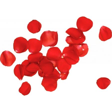 ����װ�κ�õ�廨��PNG���ͼ