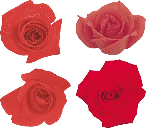 װ���ú�õ������PNG���ͼ