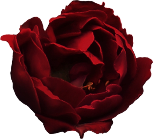 ���õ����дPNG���ͼ