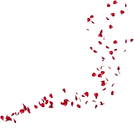 ����װ��Ʈ���õ�廨��PNG���ͼ