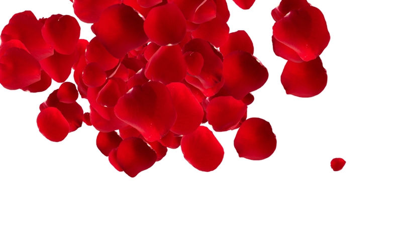 �˶���õ�廨��PNG���ͼ