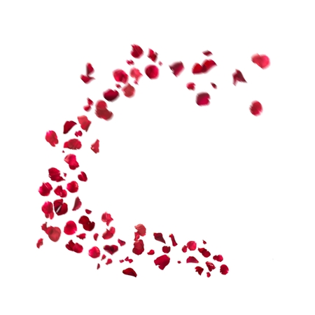 ������ƺ�õ�廨��PNG���ͼ