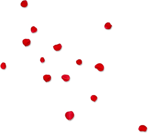 ͸������Ʈ���õ�廨��PNG���ͼ