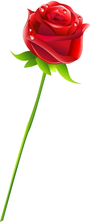 �̾���õ�廨��廭PNG���ͼ