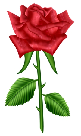 ��Ҷдʵ��õ��廭PNG���ͼ