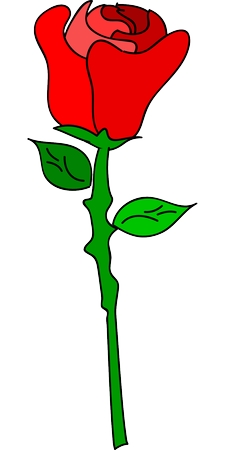 Ҷ����õ��廭PNG���ͼ
