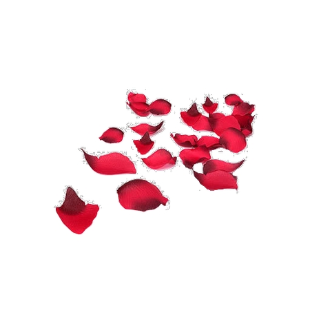 ����װ��ɢ���õ�廨��PNG���ͼ