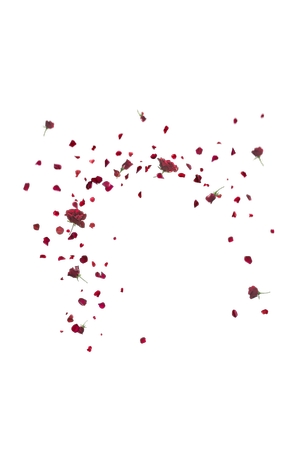 ɢ���õ�廨��PNG���ͼ