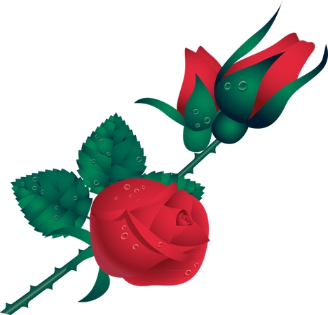 ������õ��廭PNG���ͼ