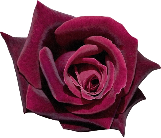 �������õ��PNG���ͼ