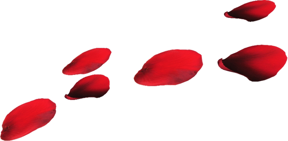 ɢ���õ�廨��廭PNG���ͼ