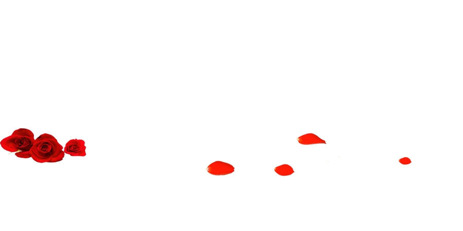Ʈ���õ�廨��PNG���ͼ