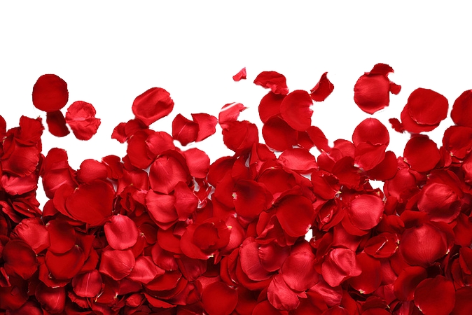 ����������õ�廨��PNG���ͼ