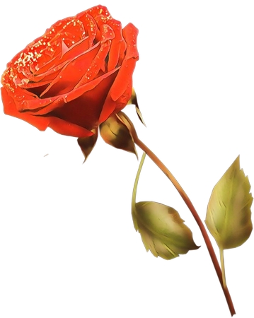 ¶���õ��廭PNG���ͼ