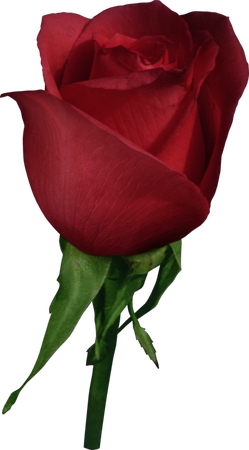 �������ʺ�õ��PNG���ͼ