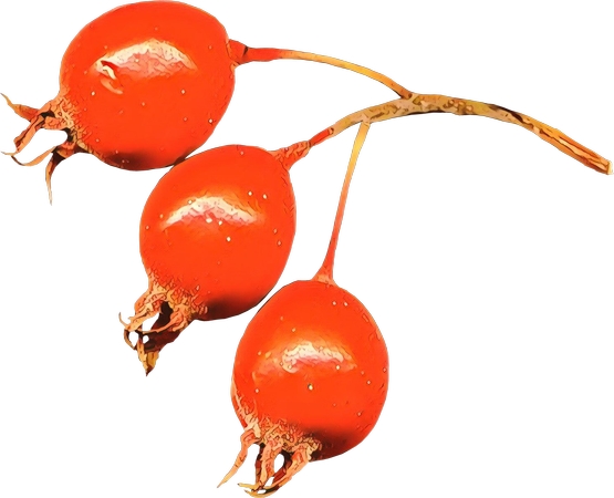 ��õ���ʵPNG���ͼ