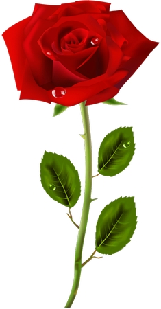 ¶���õ��PNG���ͼ