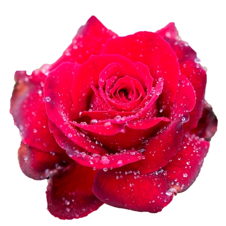 ��������¶���õ��PNG���ͼ