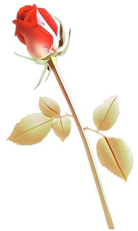 ¶�����ź�õ��PNG���ͼ