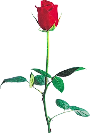 �̾���õ��廭PNG���ͼ