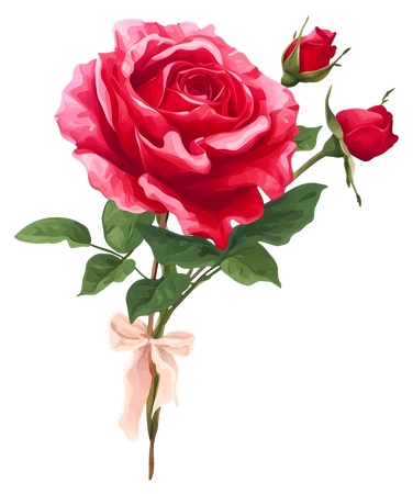 ������Ҷ��õ��PNG���ͼ