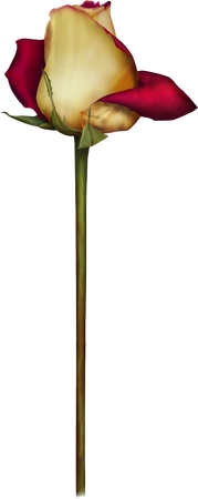 �������ͺ�õ��PNG���ͼ