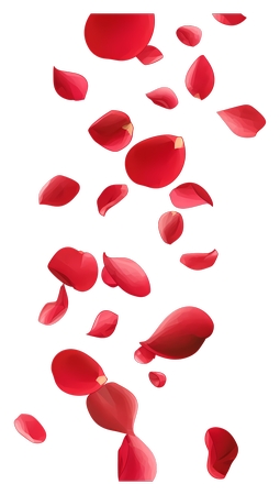 �ٲ���Ʈ��������õ�廨��PNG���ͼ